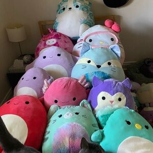 Squishmallows lot